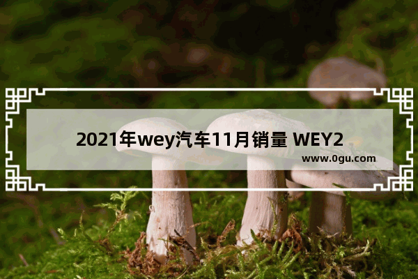 2021年wey汽车11月销量 WEY2020年11月汽车销量