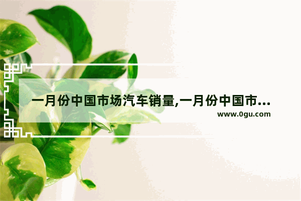 一月份中国市场汽车销量,一月份中国市场汽车销量