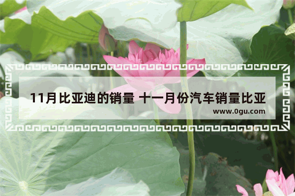 11月比亚迪的销量 十一月份汽车销量比亚迪