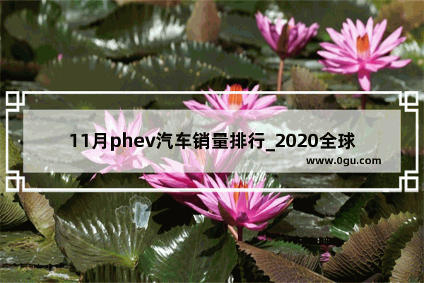 11月phev汽车销量排行_2020全球电动大巴销量排名
