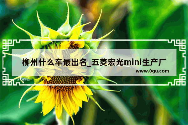 柳州什么车最出名_五菱宏光mini生产厂家