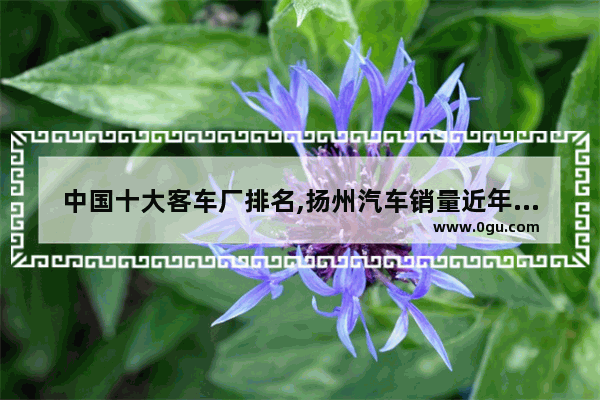 中国十大客车厂排名,扬州汽车销量近年排名榜