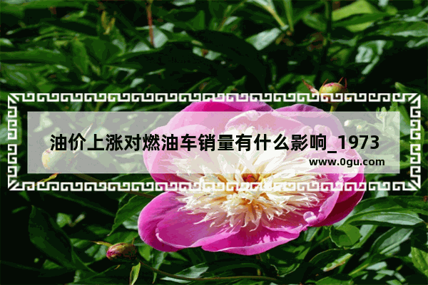 油价上涨对燃油车销量有什么影响_1973年第一次石油危机谁的汽车销量