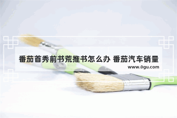 番茄首秀前书荒推书怎么办 番茄汽车销量