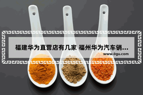 福建华为直营店有几家 福州华为汽车销量排名第几