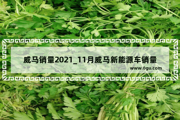 威马销量2021_11月威马新能源车销量