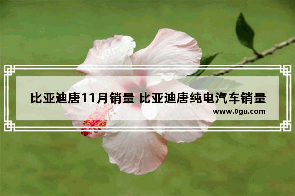 比亚迪唐11月销量 比亚迪唐纯电汽车销量