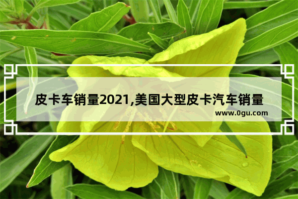 皮卡车销量2021,美国大型皮卡汽车销量