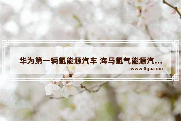 华为第一辆氢能源汽车 海马氢气能源汽车销量
