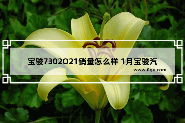 宝骏7302O21销量怎么样 1月宝骏汽车销量2019