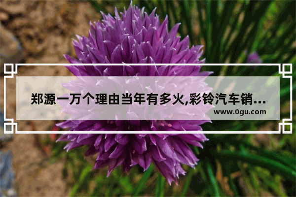 郑源一万个理由当年有多火,彩铃汽车销量怎么样