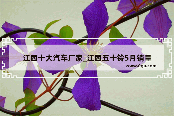 江西十大汽车厂家_江西五十铃5月销量