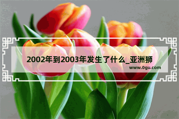 2002年到2003年发生了什么_亚洲狮一共出了几代