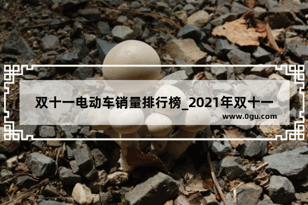 双十一电动车销量排行榜_2021年双十一酒企销量排名