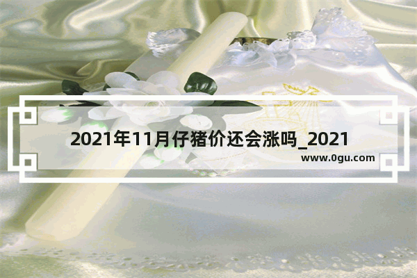 2021年11月仔猪价还会涨吗_2021年莴笋价格还会上涨吗