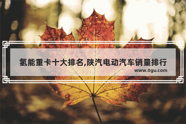 氢能重卡十大排名,陕汽电动汽车销量排行