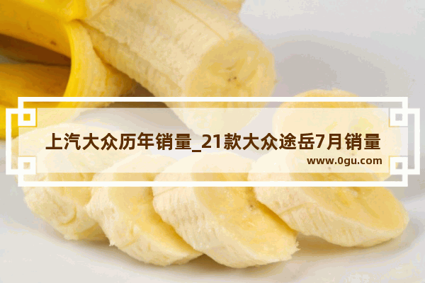 上汽大众历年销量_21款大众途岳7月销量