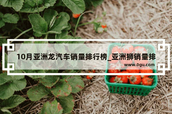 10月亚洲龙汽车销量排行榜_亚洲狮销量排行榜