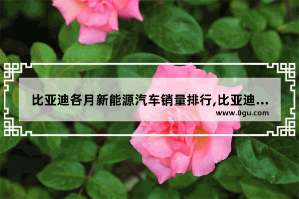 比亚迪各月新能源汽车销量排行,比亚迪的新能源汽车销量