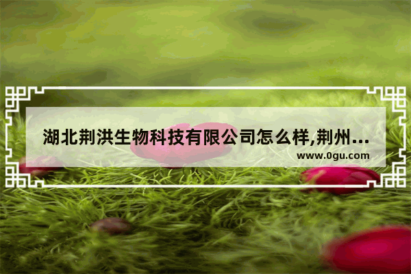 湖北荆洪生物科技有限公司怎么样,荆州各县汽车销量
