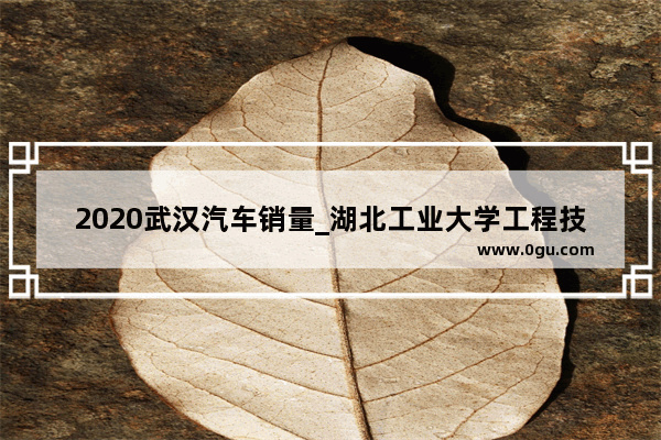 2020武汉汽车销量_湖北工业大学工程技术学院新能源汽车为什么要参加夏令营