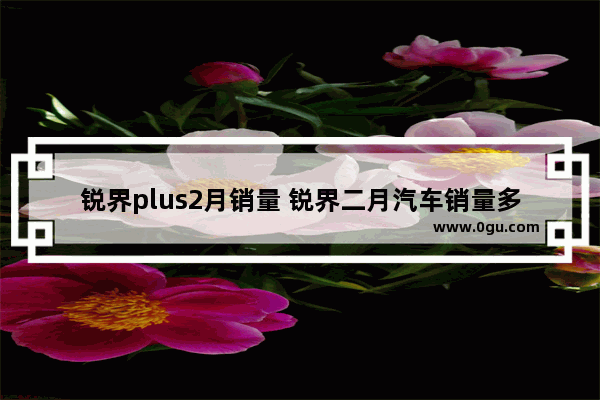 锐界plus2月销量 锐界二月汽车销量多少辆