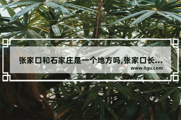 张家口和石家庄是一个地方吗,张家口长安汽车销量