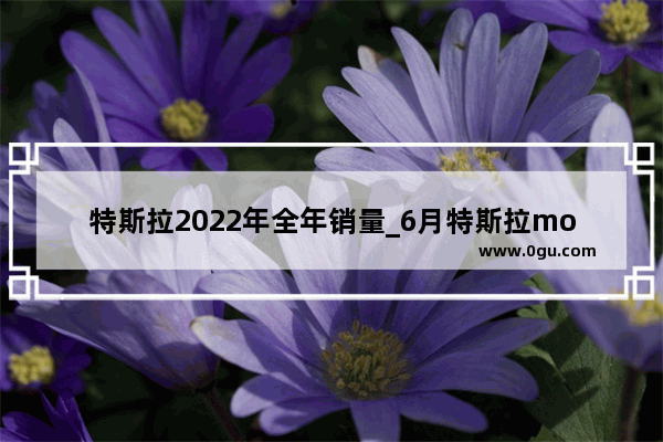 特斯拉2022年全年销量_6月特斯拉model 3销量
