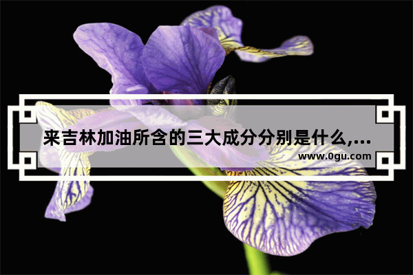 来吉林加油所含的三大成分分别是什么,吉林省燃料电池汽车销量