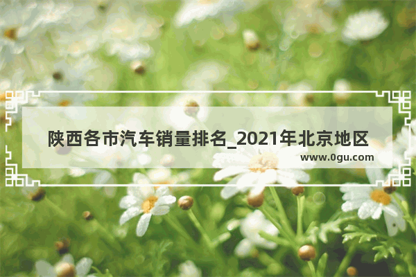 陕西各市汽车销量排名_2021年北京地区汽车销量