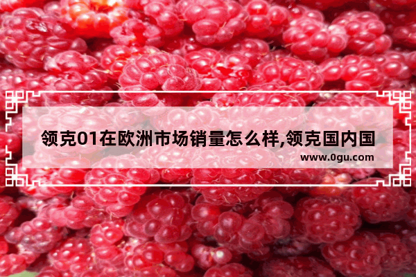 领克01在欧洲市场销量怎么样,领克国内国外汽车销量