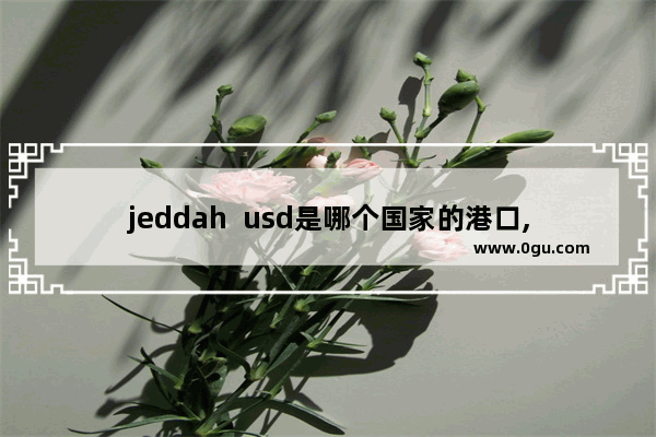 jeddah  usd是哪个国家的港口,2021年伊拉克汽车销量
