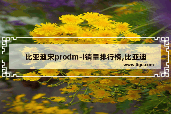 比亚迪宋prodm-i销量排行榜,比亚迪4月汽车销量排行