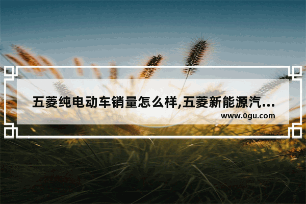 五菱纯电动车销量怎么样,五菱新能源汽车销量怎么样