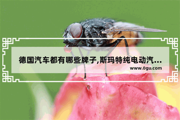 德国汽车都有哪些牌子,斯玛特纯电动汽车销量排名