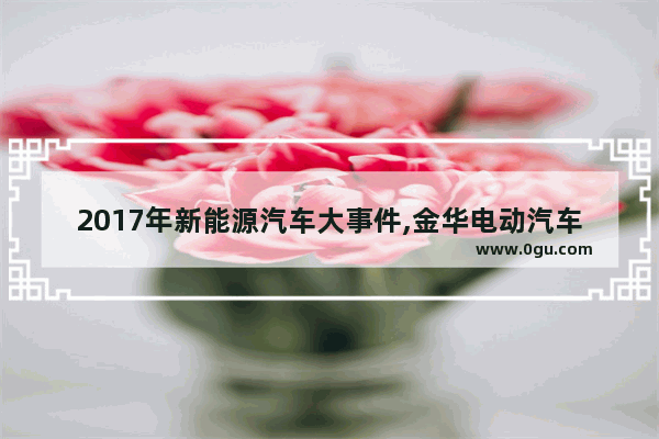 2017年新能源汽车大事件,金华电动汽车销量排行榜