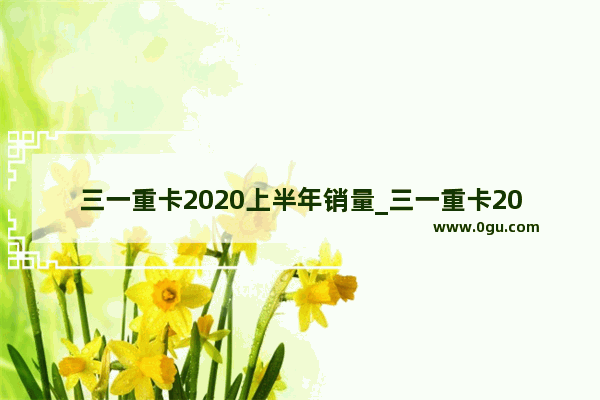 三一重卡2020上半年销量_三一重卡2021年10月销量