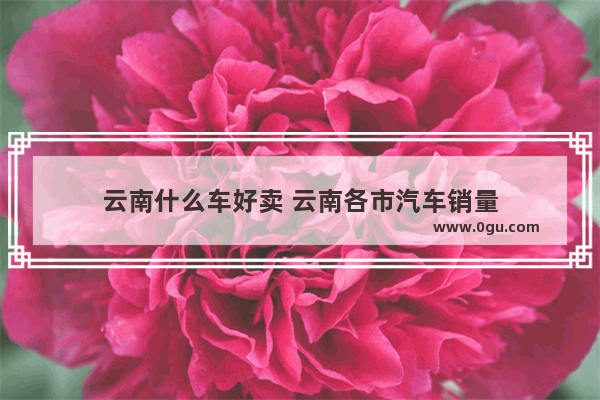 云南什么车好卖 云南各市汽车销量