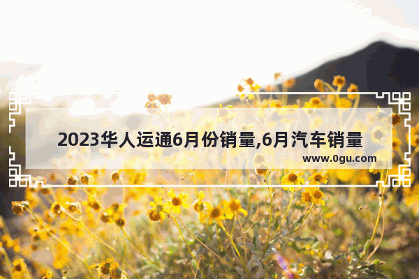 2023华人运通6月份销量,6月汽车销量排行榜2023最新