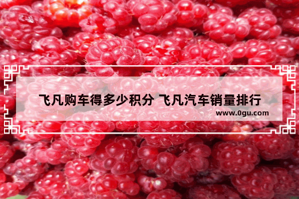 飞凡购车得多少积分 飞凡汽车销量排行