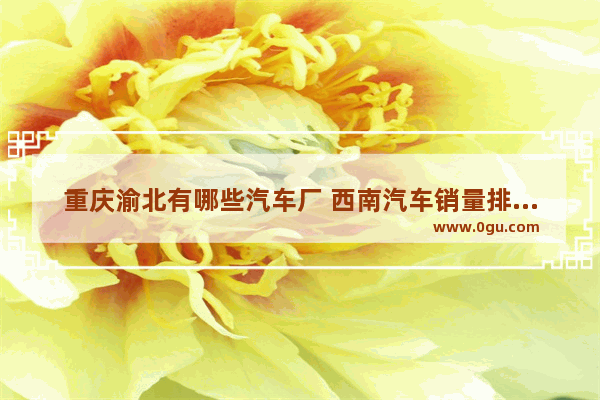 重庆渝北有哪些汽车厂 西南汽车销量排行前十