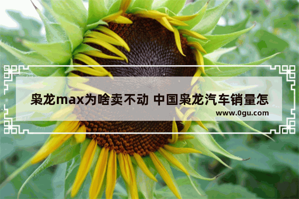 枭龙max为啥卖不动 中国枭龙汽车销量怎么样