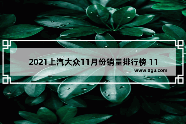 2021上汽大众11月份销量排行榜 11月上汽大众汽车销量