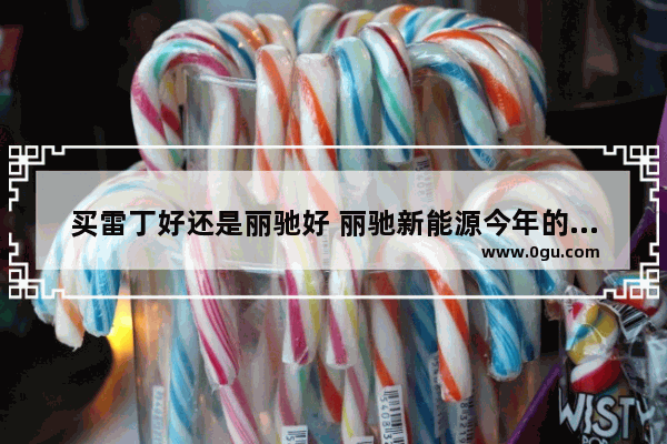 买雷丁好还是丽驰好 丽驰新能源今年的汽车销量是多少