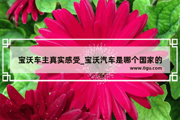 宝沃车主真实感受_宝沃汽车是哪个国家的