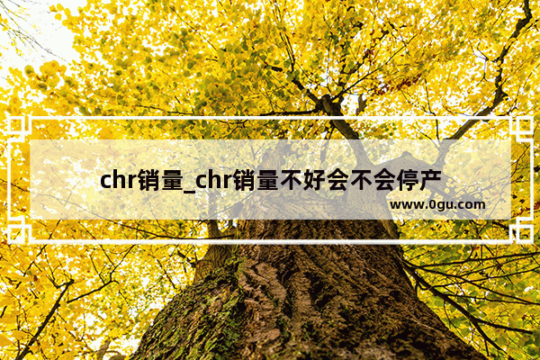 chr销量_chr销量不好会不会停产