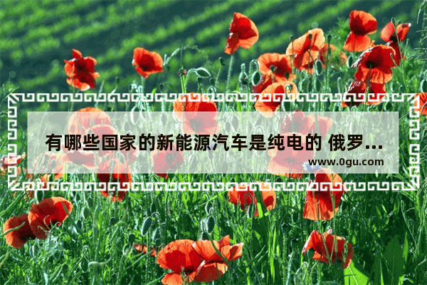 有哪些国家的新能源汽车是纯电的 俄罗斯比亚迪电动汽车销量