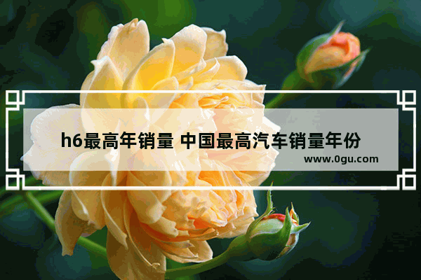 h6最高年销量 中国最高汽车销量年份