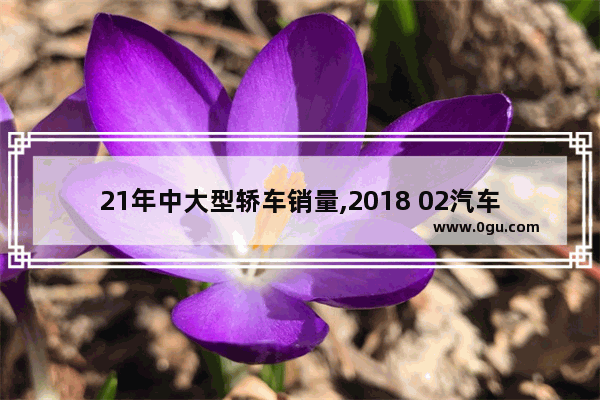 21年中大型轿车销量,2018 02汽车销量