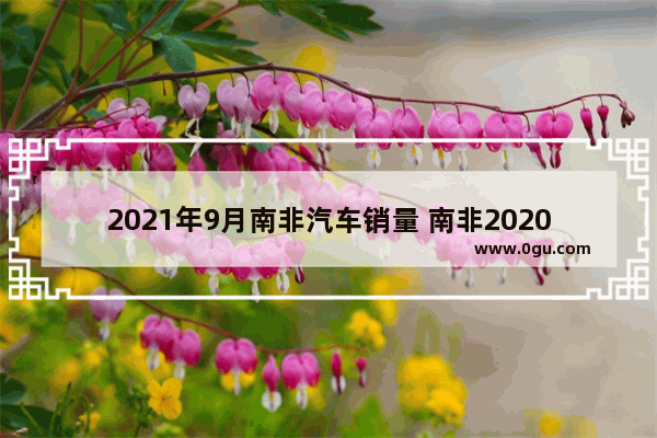 2021年9月南非汽车销量 南非2020年汽车销量数据